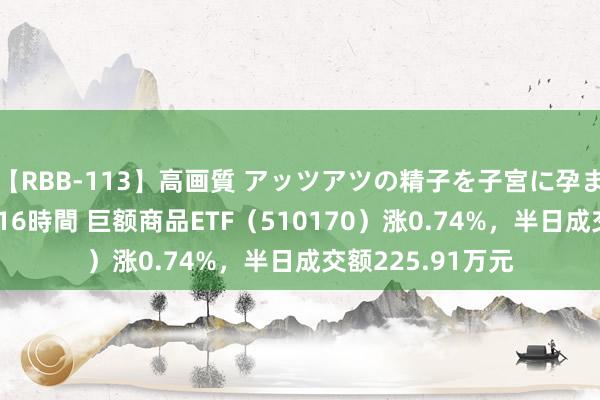 【RBB-113】高画質 アッツアツの精子を子宮に孕ませ中出し120発16時間 巨额商品ETF（510170）涨0.74%，半日成交额225.91万元