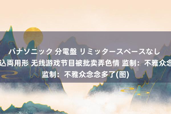 パナソニック 分電盤 リミッタースペースなし 露出・半埋込両用形 无线游戏节目被批卖弄色情 监制：不雅众念念多了(图)