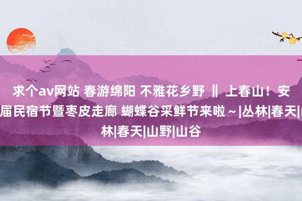 求个av网站 春游绵阳 不雅花乡野 ‖ 上春山！安州区第七届民宿节暨枣皮走廊 蝴蝶谷采鲜节来啦～|丛林|春天|山野|山谷