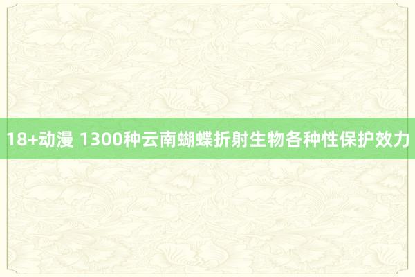 18+动漫 1300种云南蝴蝶折射生物各种性保护效力