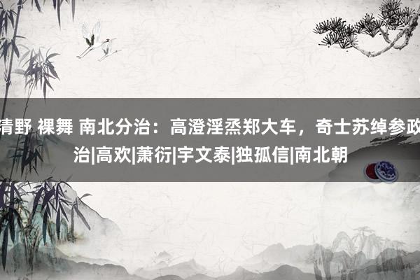 清野 裸舞 南北分治：高澄淫烝郑大车，奇士苏绰参政治|高欢|萧衍|宇文泰|独孤信|南北朝