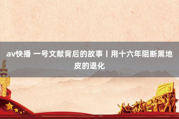 av快播 一号文献背后的故事丨用十六年阻断黑地皮的退化