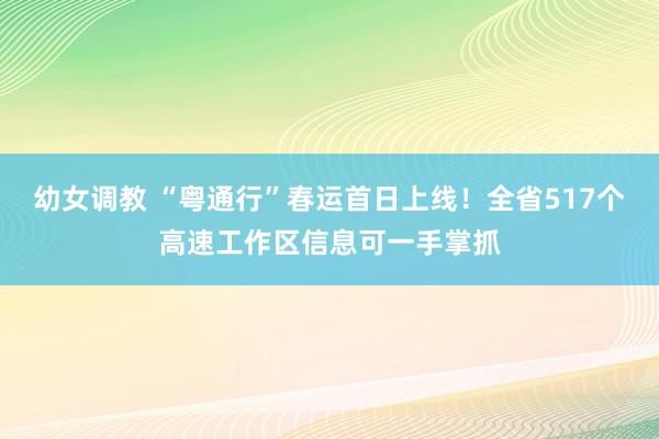 幼女调教 “粤通行”春运首日上线！全省517个高速工作区信息可一手掌抓