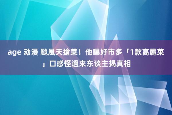 age 动漫 颱風天搶菜！他曝好市多「1款高麗菜」口感怪　過來东谈主揭真相