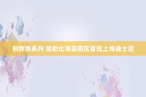铜锣烧系列 加勒比海盗园区首现上海迪士尼