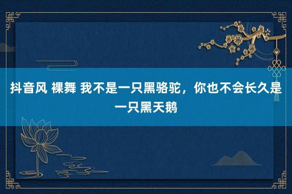 抖音风 裸舞 我不是一只黑骆驼，你也不会长久是一只黑天鹅