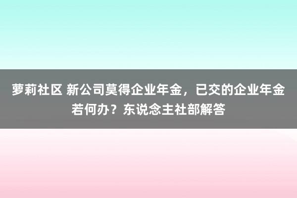 萝莉社区 新公司莫得企业年金，已交的企业年金若何办？东说念主社部解答