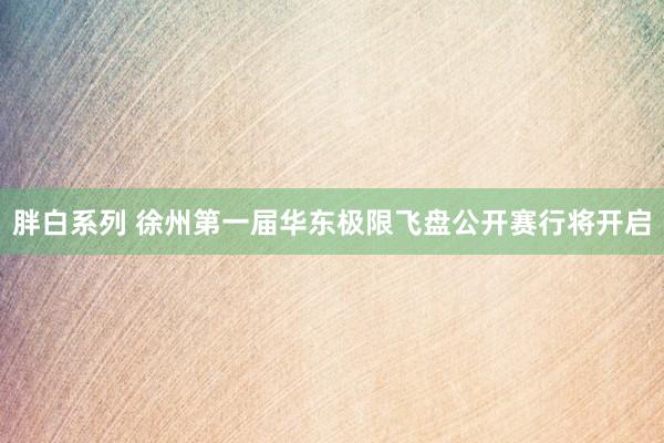胖白系列 徐州第一届华东极限飞盘公开赛行将开启