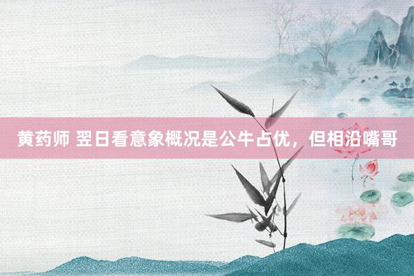 黄药师 翌日看意象概况是公牛占优,但相沿嘴哥
