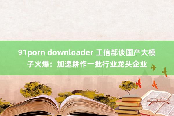 91porn downloader 工信部谈国产大模子火爆：加速耕作一批行业龙头企业